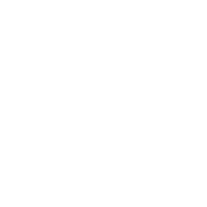 Brice Power Logo